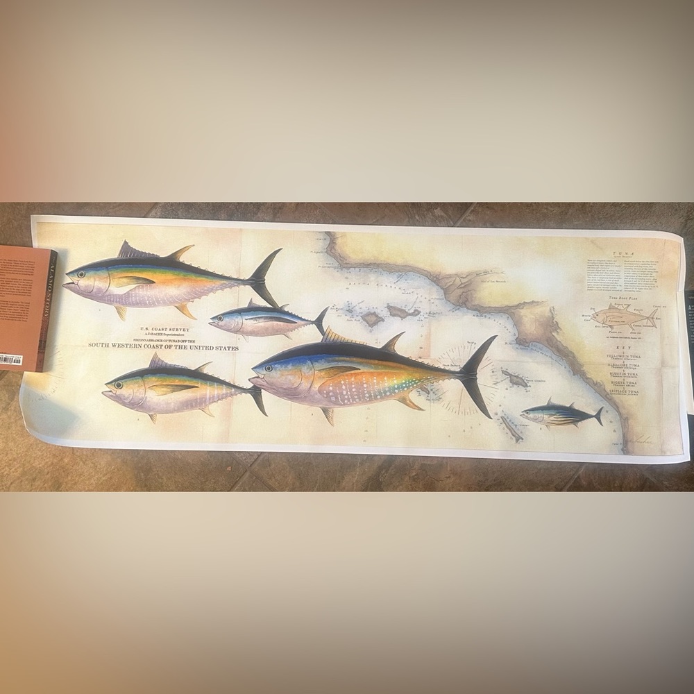 Hand painted tunas on map of Southern California coast.